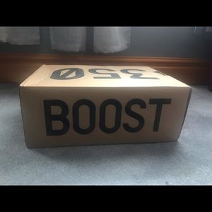 Yeezy Boost 350 v2 Blue Tint!